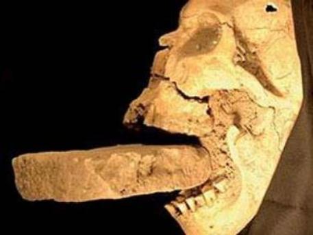 Vampire Skull